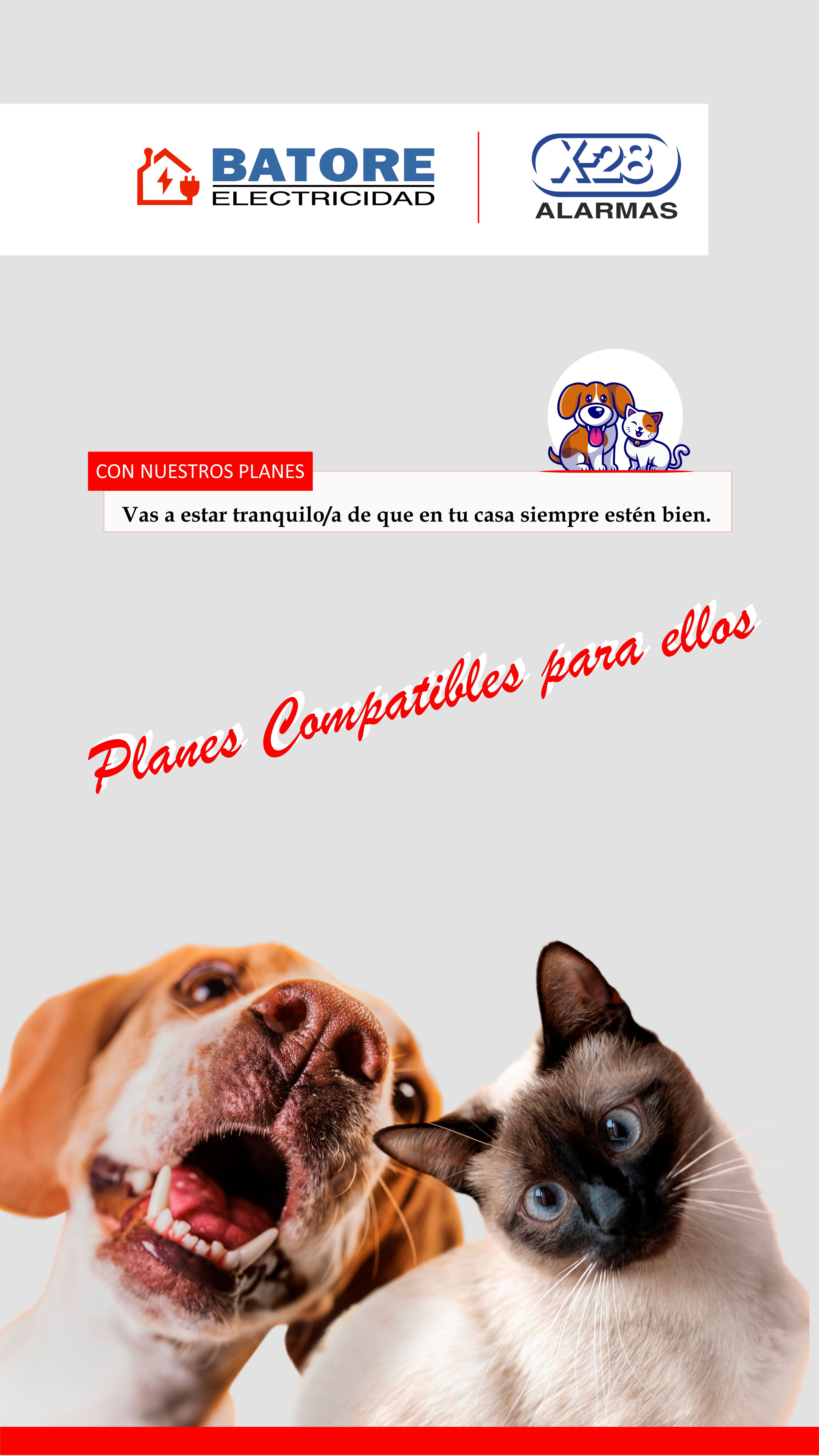 muestra_trabajo